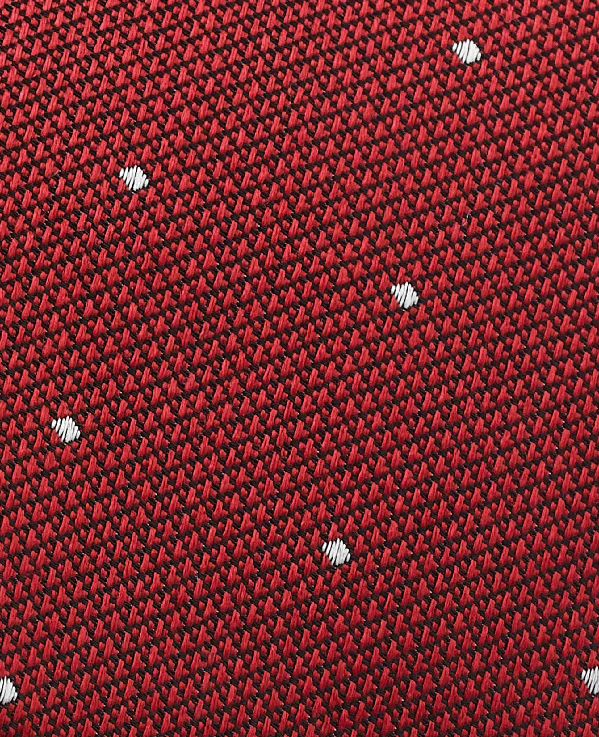 Red Spot Silk Tie