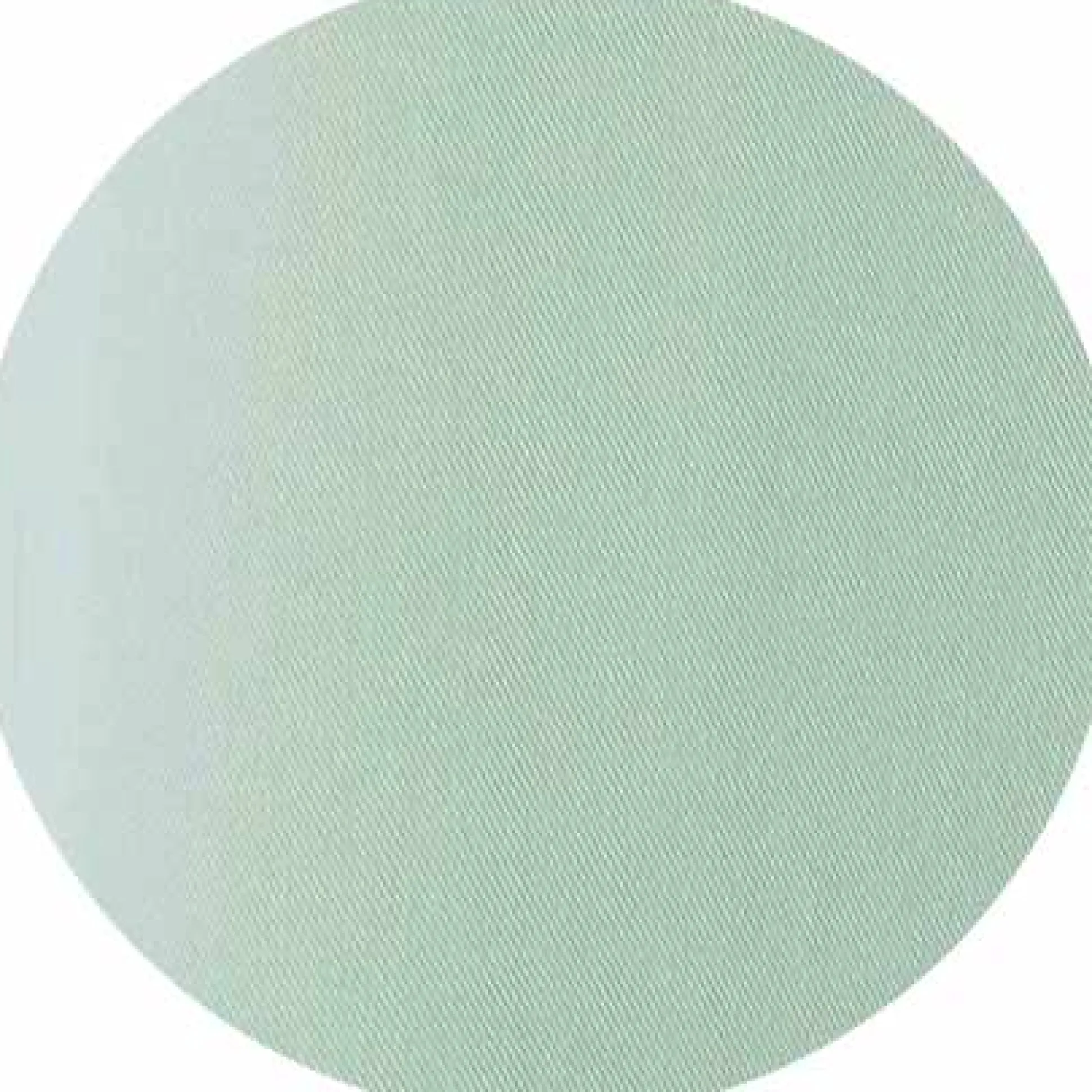 Women's Sage Green Viscose Twill Boyfriend Fit Shirt